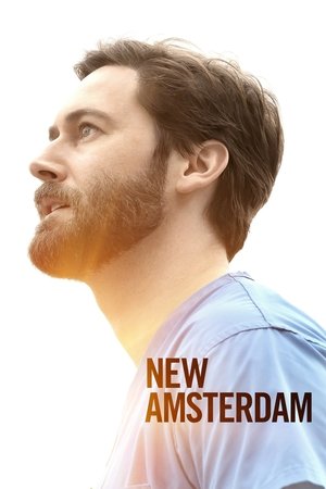 Poster for New Amsterdam: Season 3