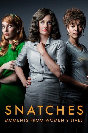 Poster for Snatches: Moments from Women's Lives: Season 1