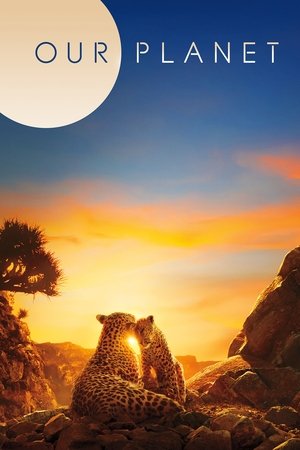 Poster for Our Planet: Our Planet