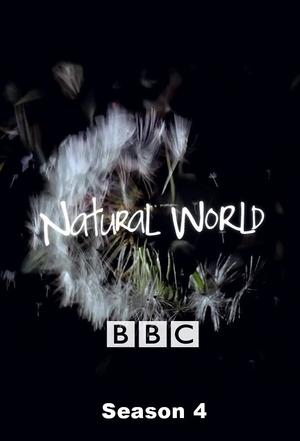 Poster for Natural World: Season 4