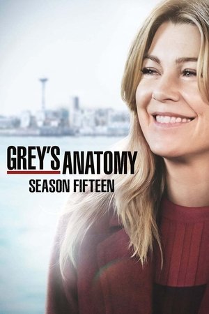 Poster for Grey's Anatomy