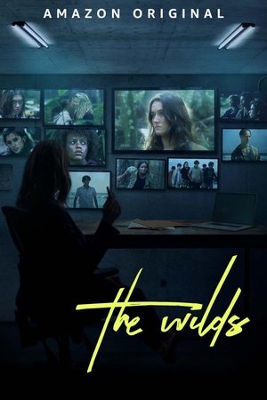 Poster for The Wilds: Season 2
