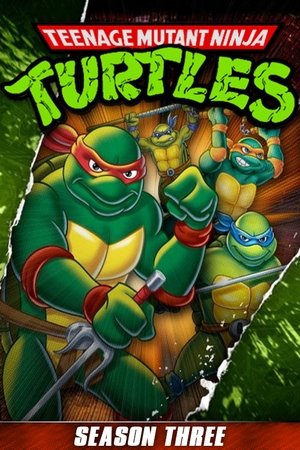 Poster for Teenage Mutant Ninja Turtles: Season 3