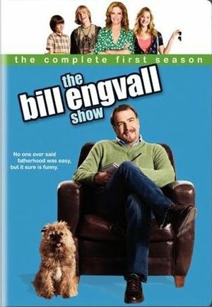 Poster for The Bill Engvall Show: Season 1