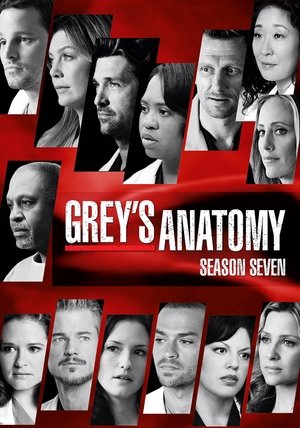 Poster for Grey's Anatomy: Season 7