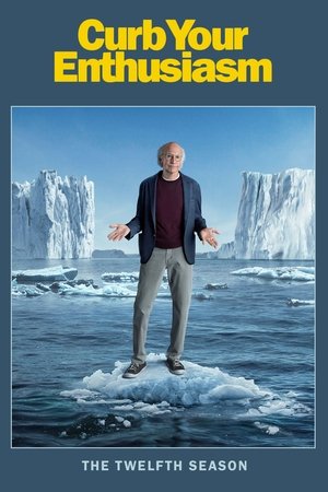 Poster for Curb Your Enthusiasm