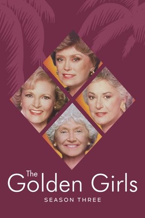 Poster for The Golden Girls: Season 3