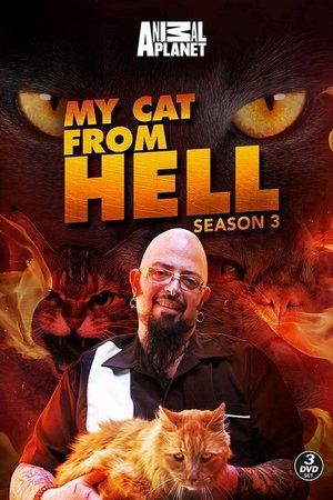 Poster for My Cat from Hell: Season 3