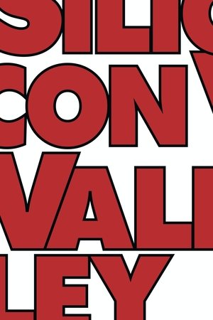 Poster for Silicon Valley: Season 6