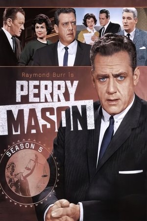 Poster for Perry Mason: Season 5