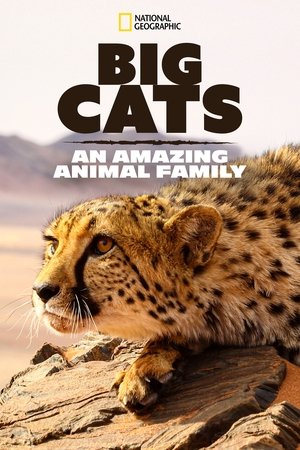 Poster for Big Cats: An Amazing Animal Family: Season 1