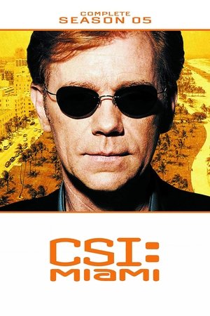 Poster for CSI: Miami: Season 5