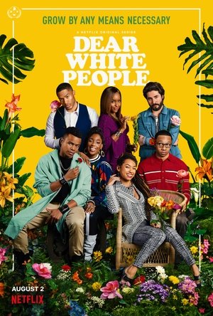 Poster for Dear White People: Volume 3