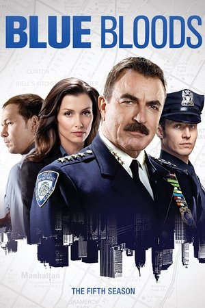 Poster for Blue Bloods: Season 5