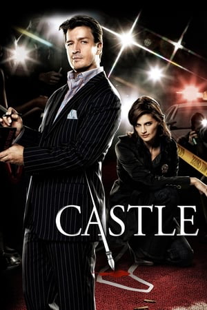 Poster for Castle: Season 2