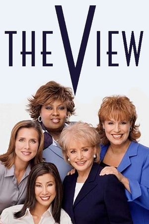 Poster for The View: Season 4