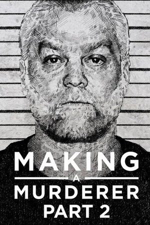 Poster for Making a Murderer: Part 2
