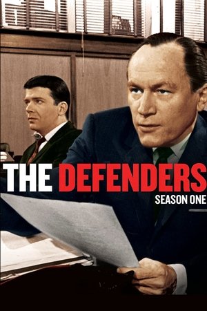 Poster for The Defenders: Season 1