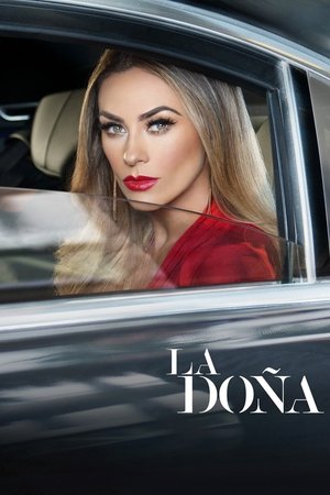 Poster for La Doña: Season 2