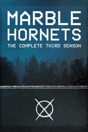 Poster for Marble Hornets: Season 3
