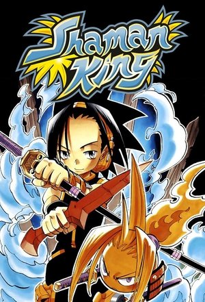Poster for Shaman King: Season 1