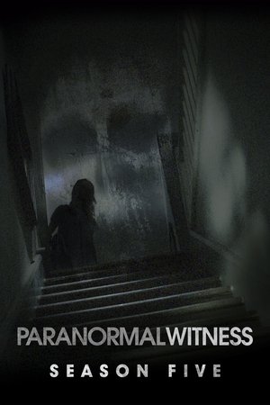 Poster for Paranormal Witness: Season 5