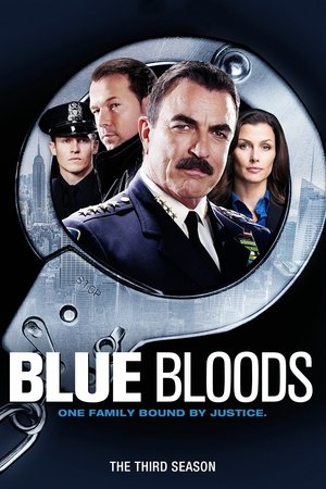 Poster for Blue Bloods: Season 3