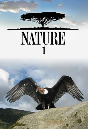 Poster for Nature: Season 1