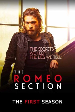 Poster for The Romeo Section: Season 1