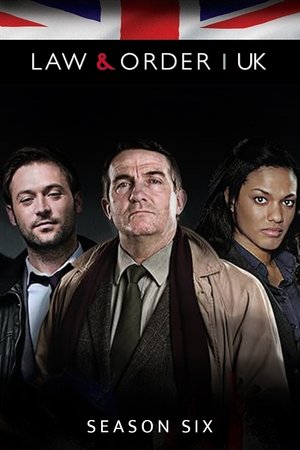Poster for Law & Order: UK: Series 6