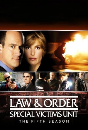 Poster for Law & Order: Special Victims Unit: Season 5