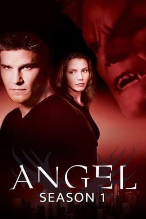 Poster for Angel: Season 1