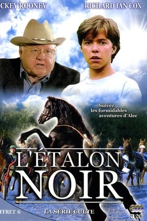 Poster for The Adventures of the Black Stallion: Season 1