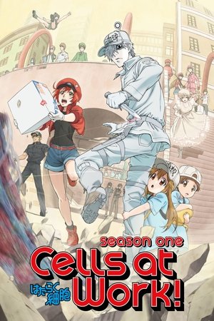 Poster for Cells at Work!: Cells at Work!