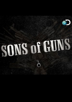 Poster for Sons of Guns: Season 5