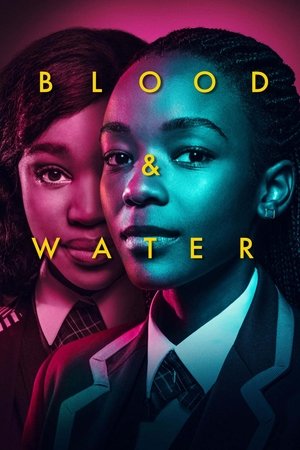 Poster for Blood & Water: Season 1