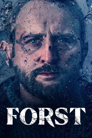 Poster for Detective Forst: Season 1