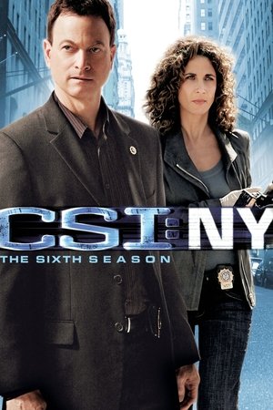Poster for CSI: NY: Season 6