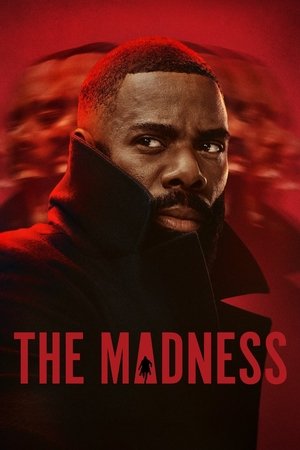 Poster for The Madness: Limited Series