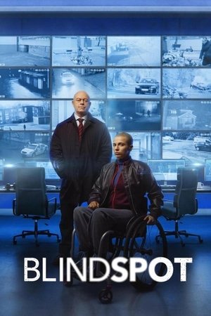 Poster for Blindspot: Series 1