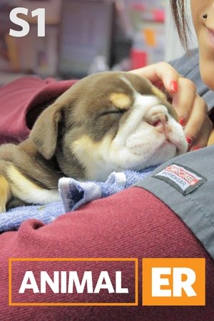 Poster for Animal ER: Season 1
