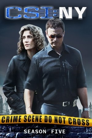 Poster for CSI: NY: Season 5