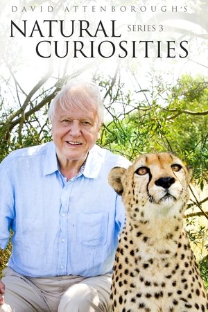 Poster for David Attenborough's Natural Curiosities: Season 3