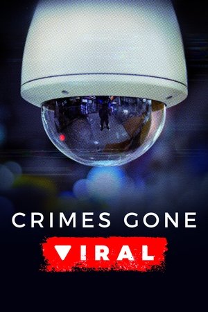 Poster for Crimes Gone Viral: Season 3
