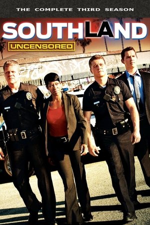 Poster for Southland: Season 3