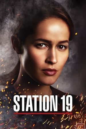 Poster for Station 19: Season 2