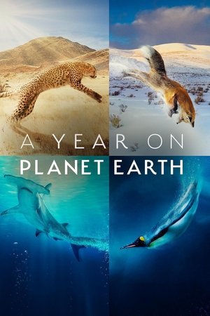 Poster for A Year on Planet Earth: Season 1