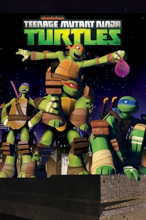 Poster for Teenage Mutant Ninja Turtles: Season 3