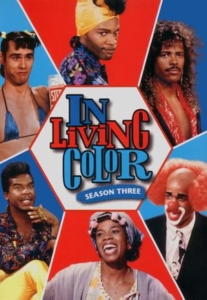 Poster for In Living Color: Season 3