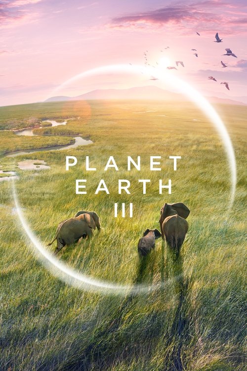 Poster for Miniseries